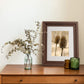 Wood Photo Frames with Real Glass for 8"×10" Pack of 2 - 3 Colors Available