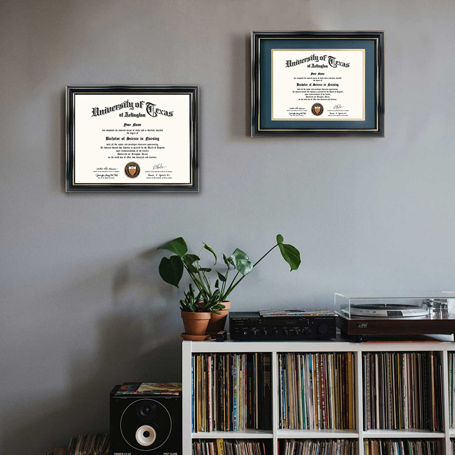 Certificate Document Diploma Real Wood Frame with Mat for 8.5" x 11" - 13 Colors Available